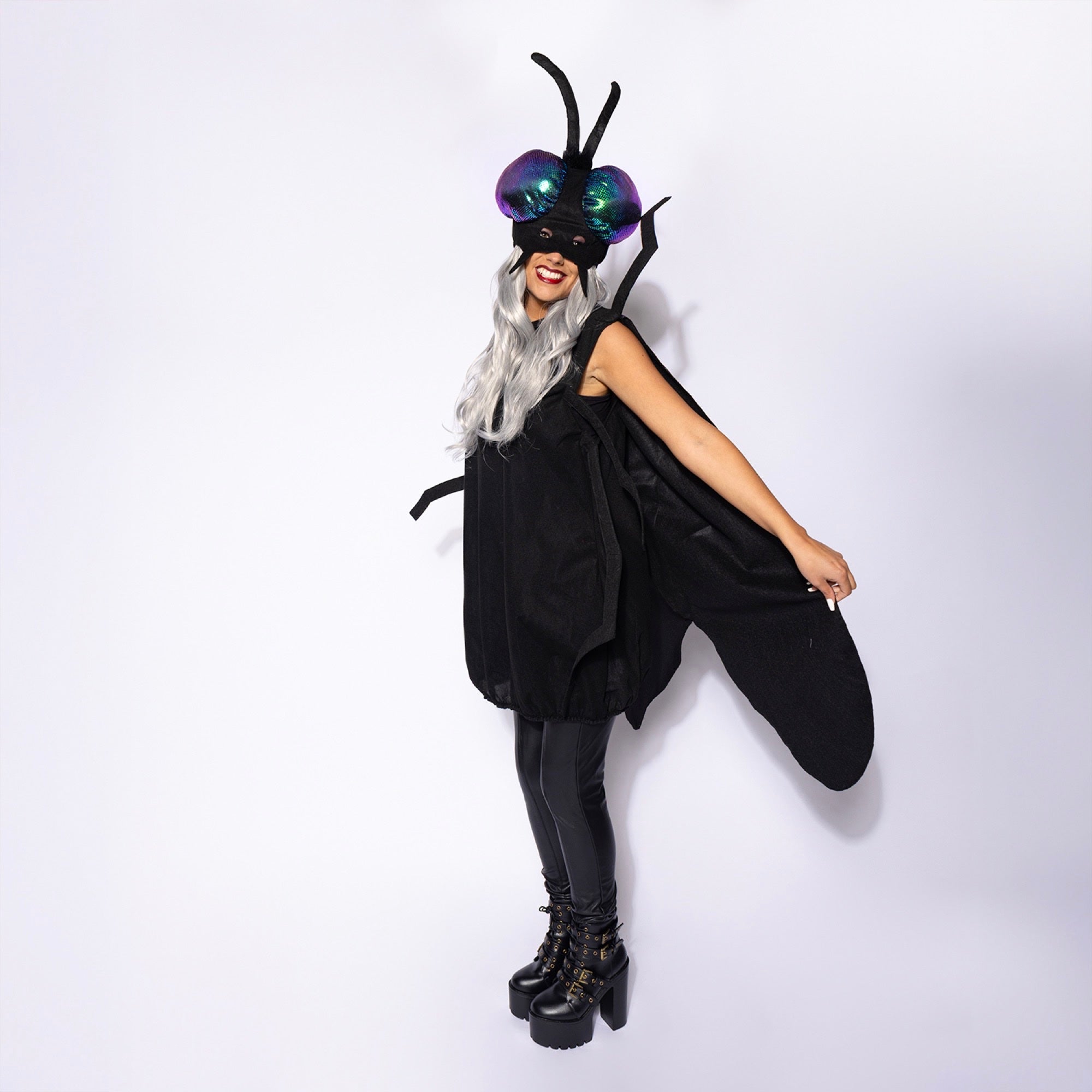 Fly