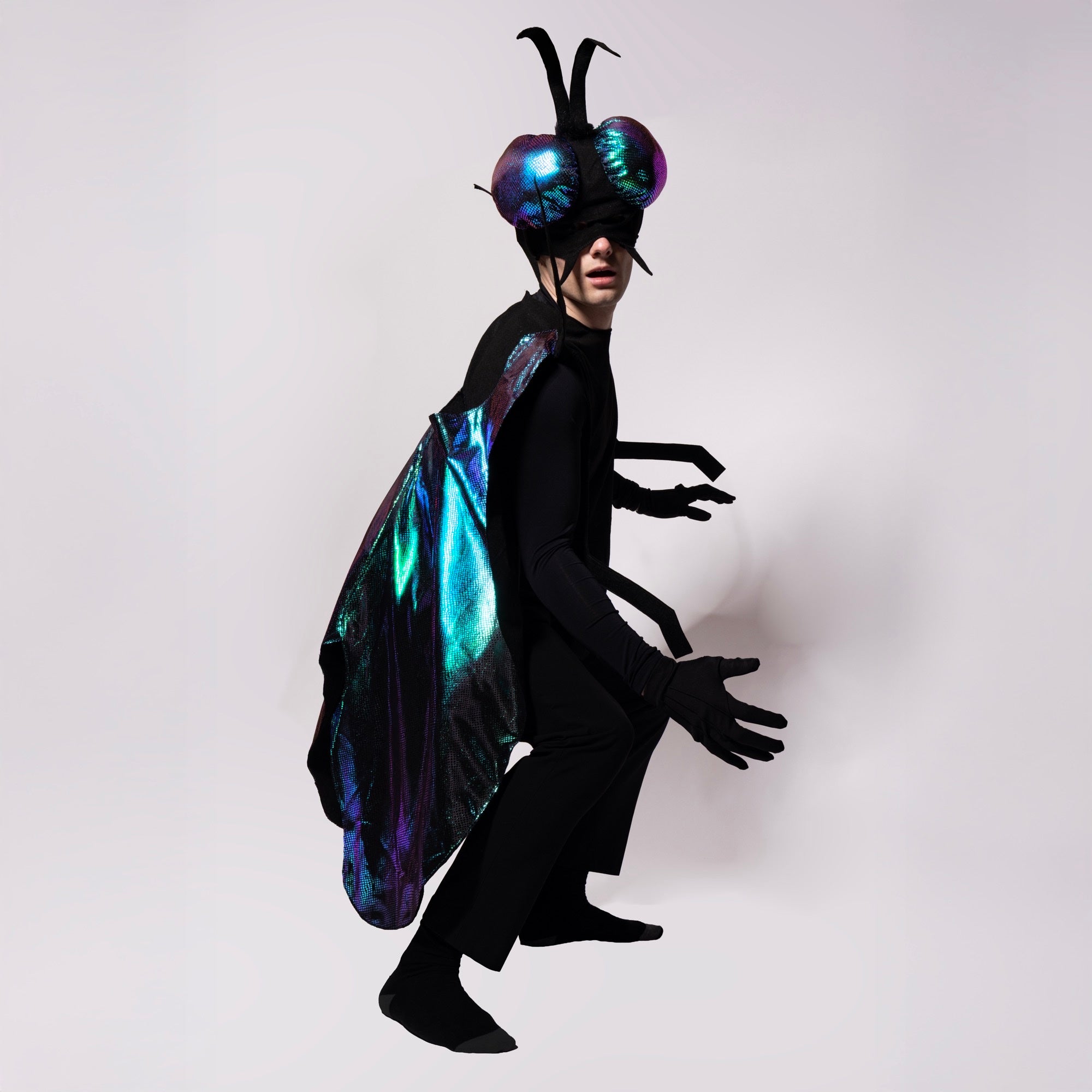 Fly