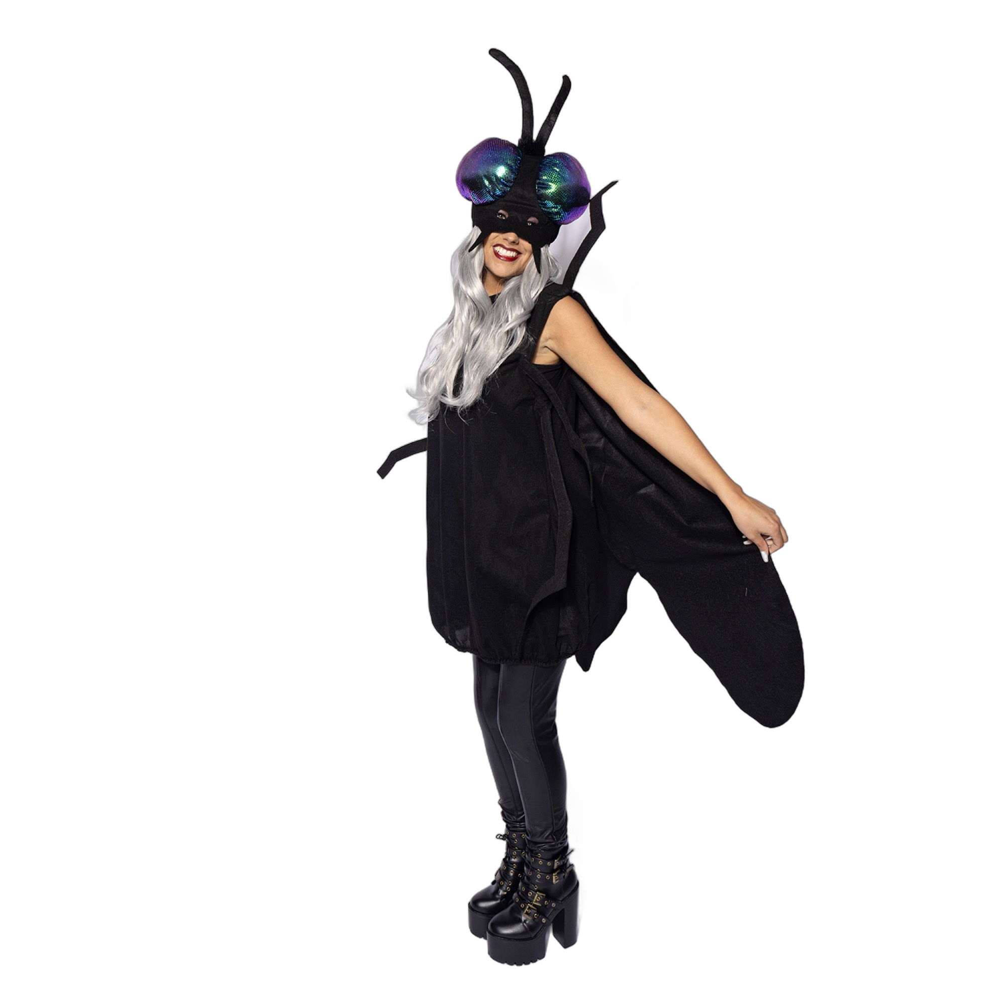 Fly