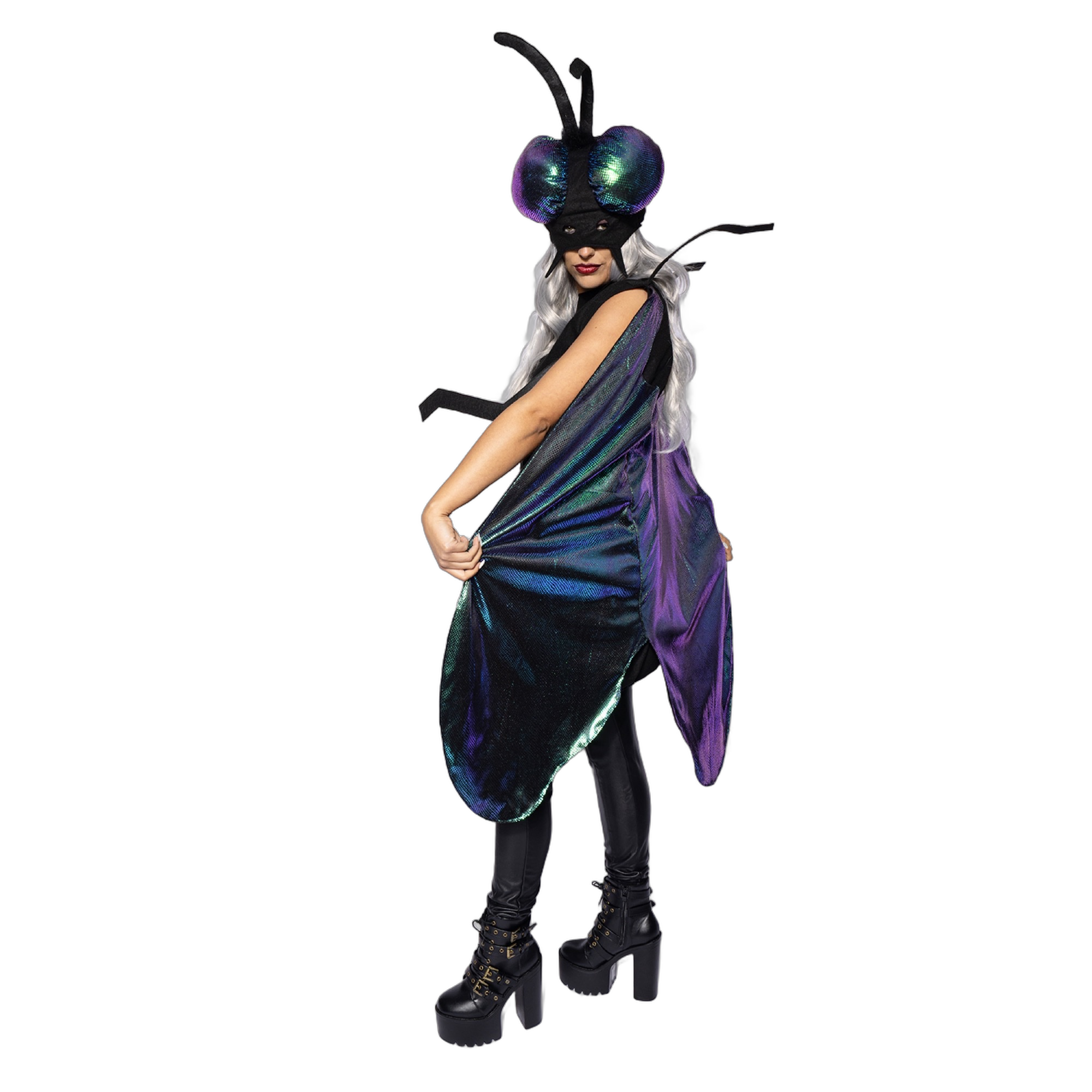 Fly