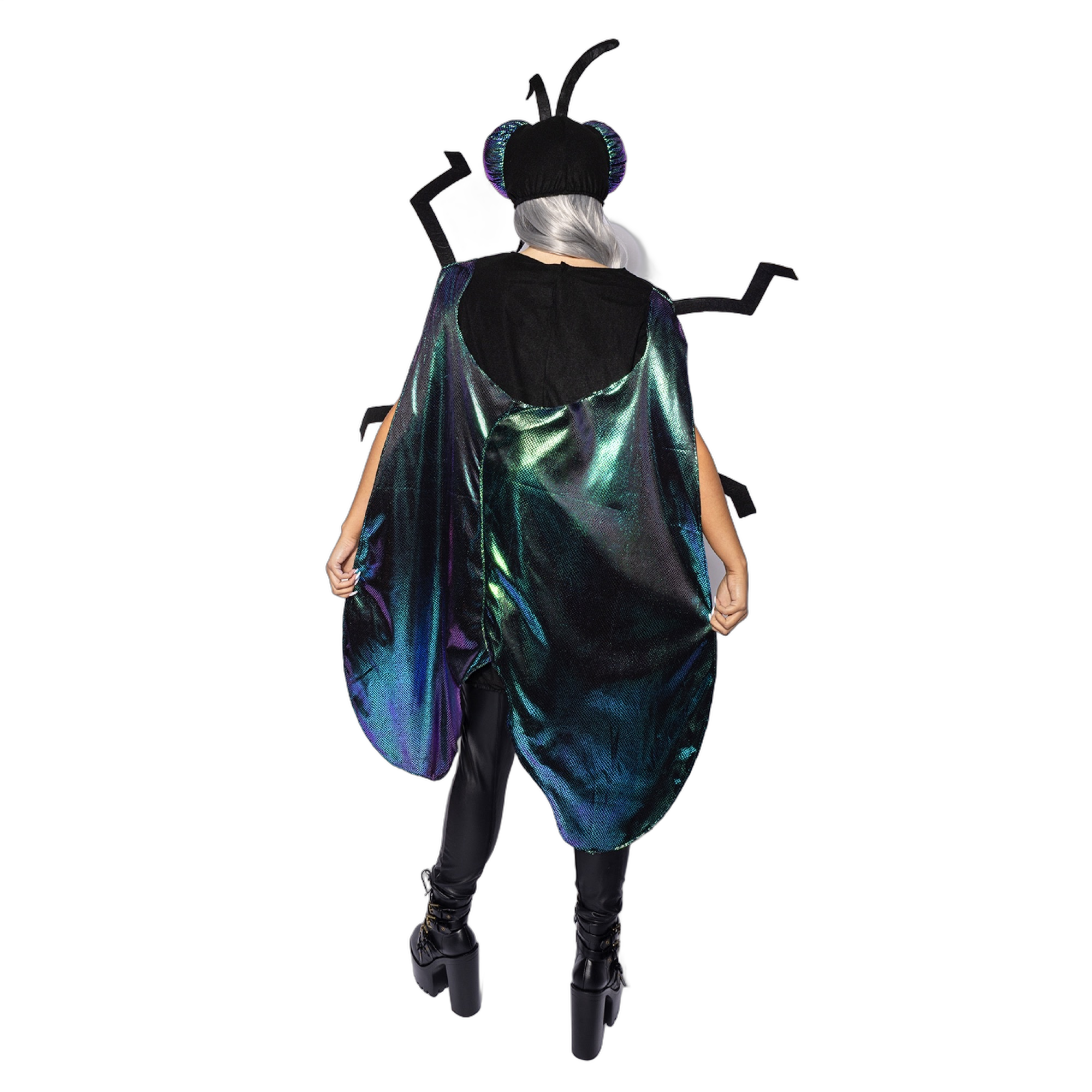 Fly