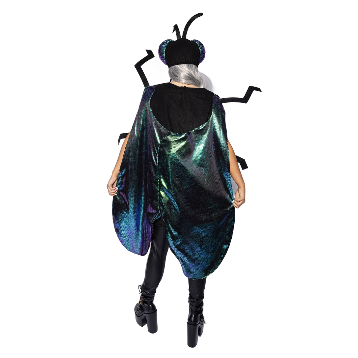 Fly