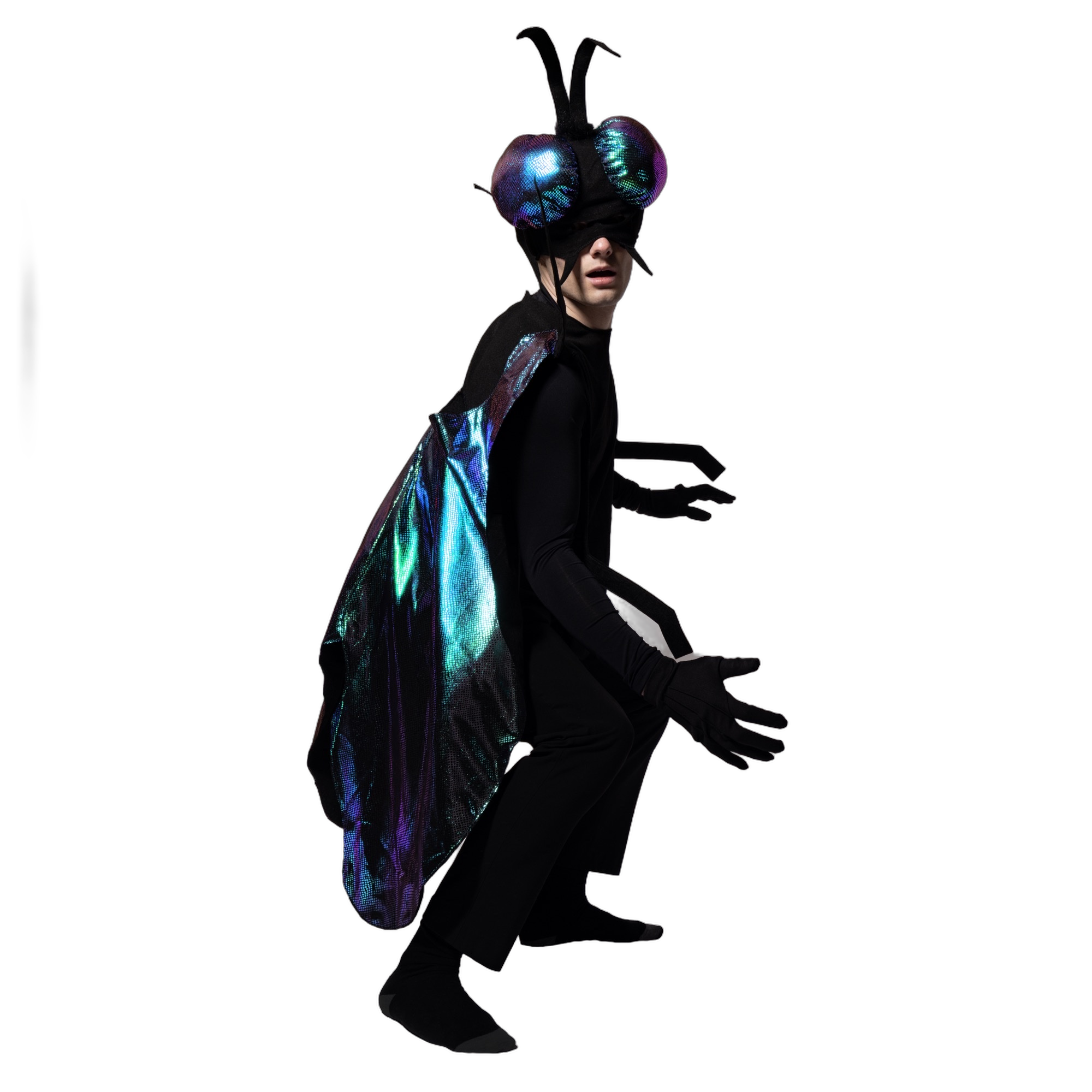 Fly