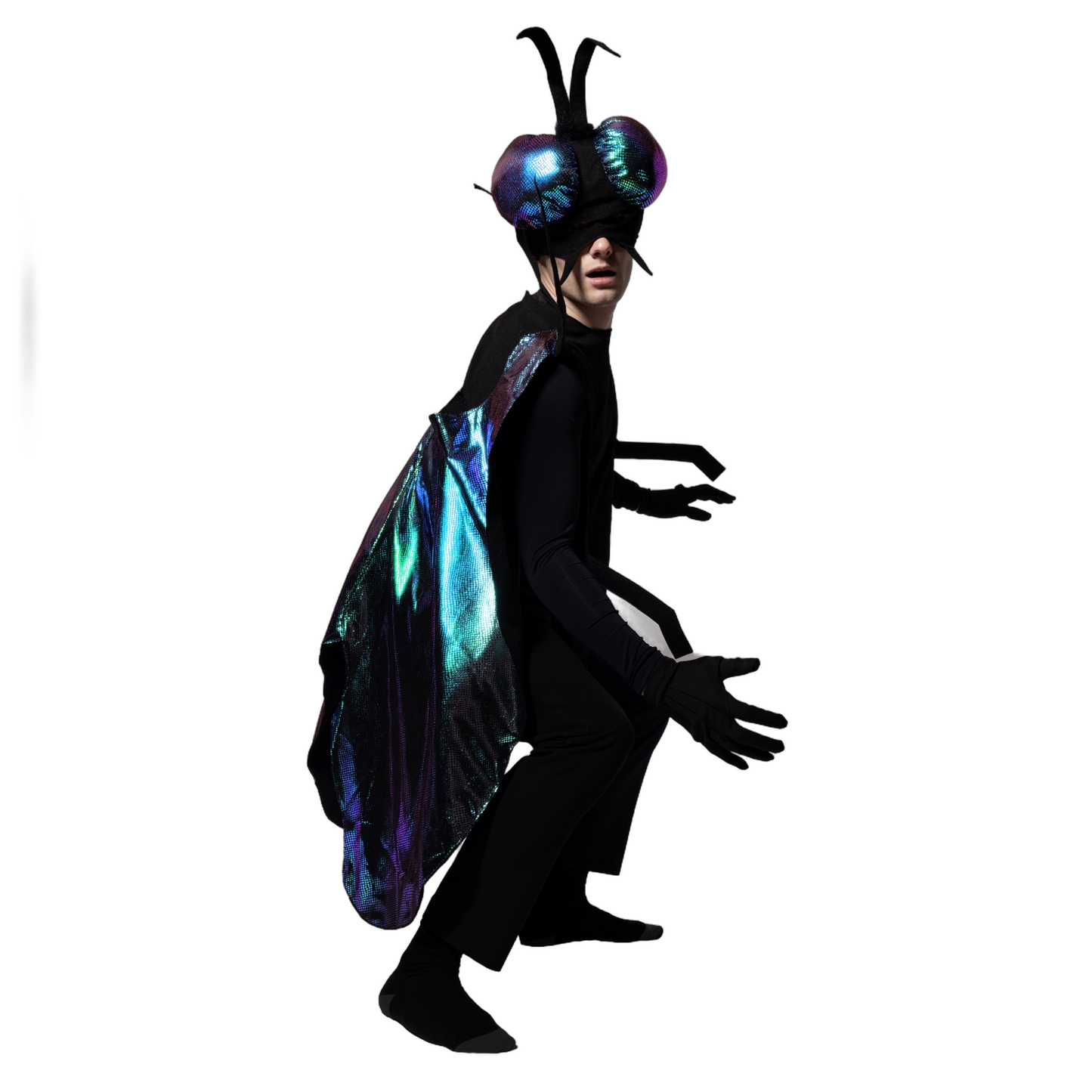 Fly