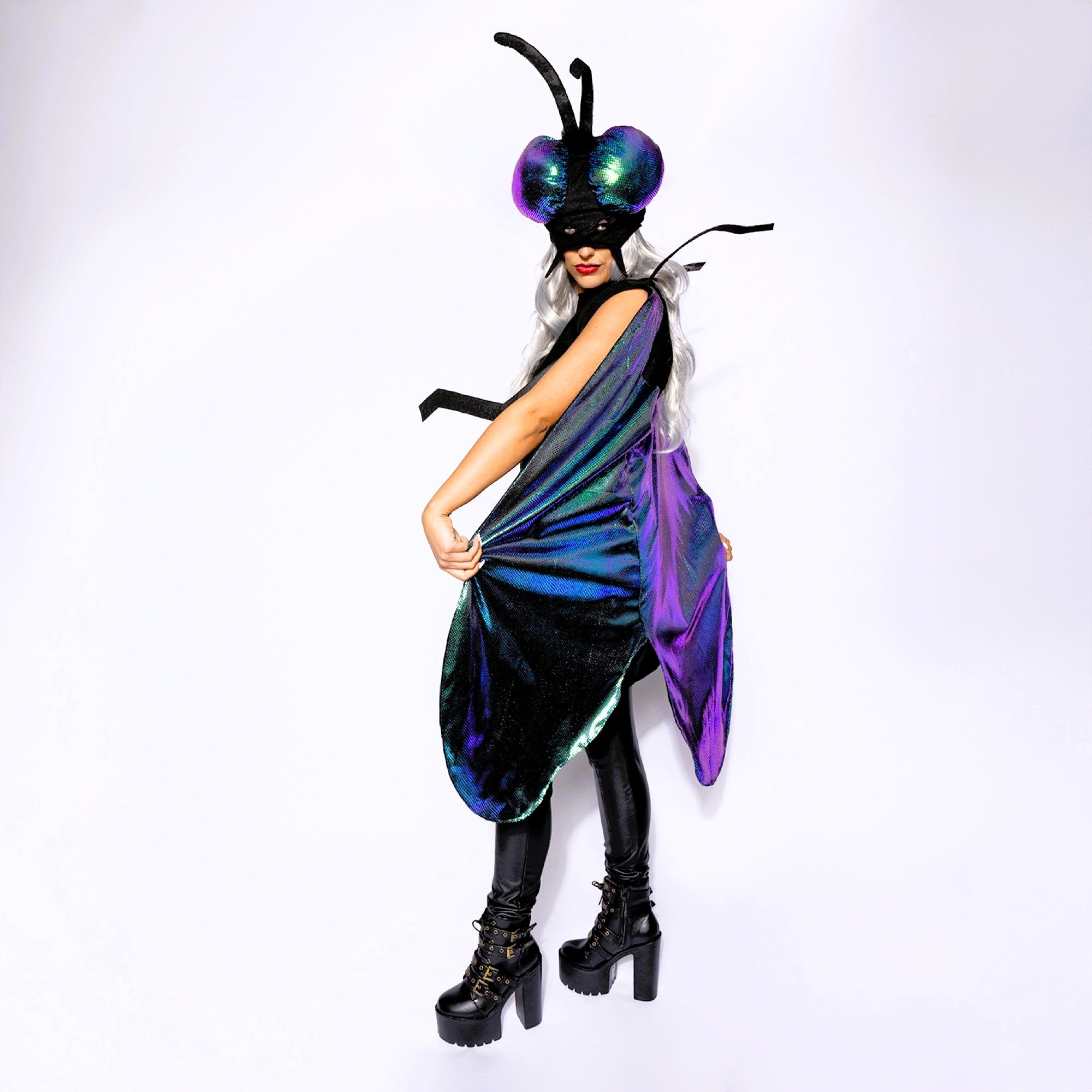 Fly