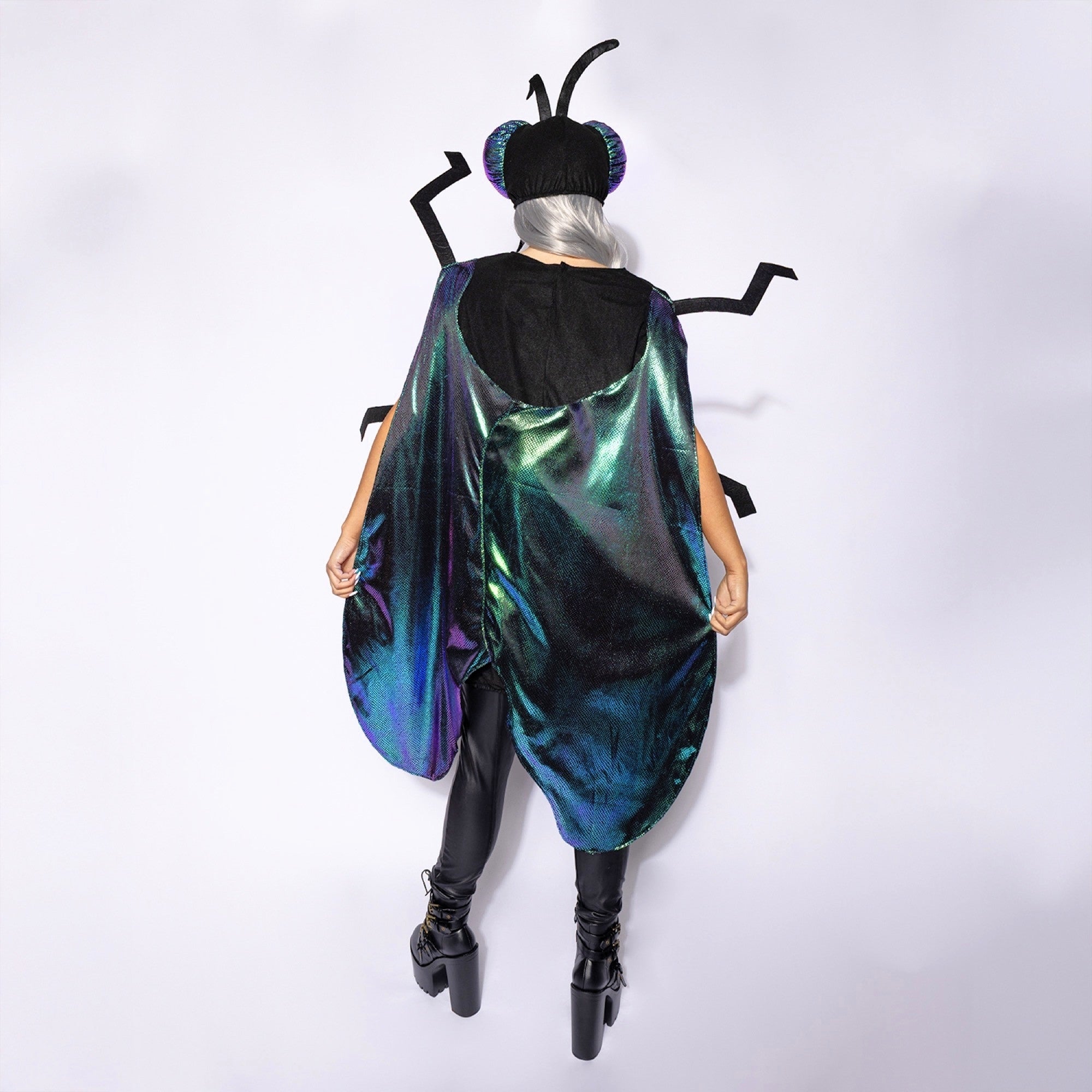 Fly