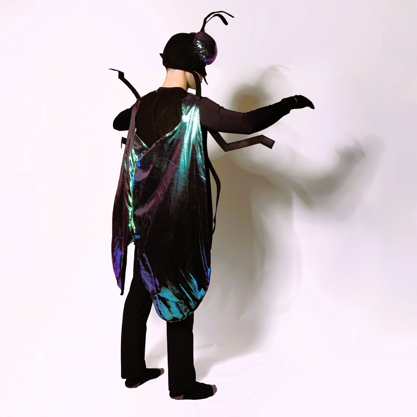 Fly