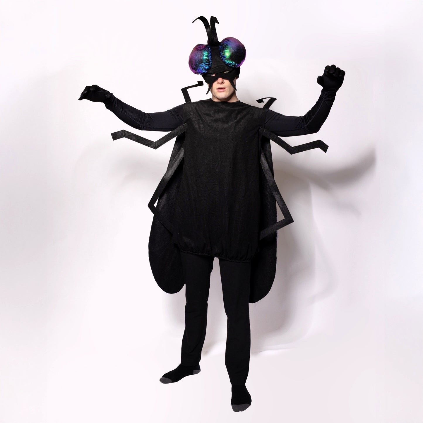 Fly