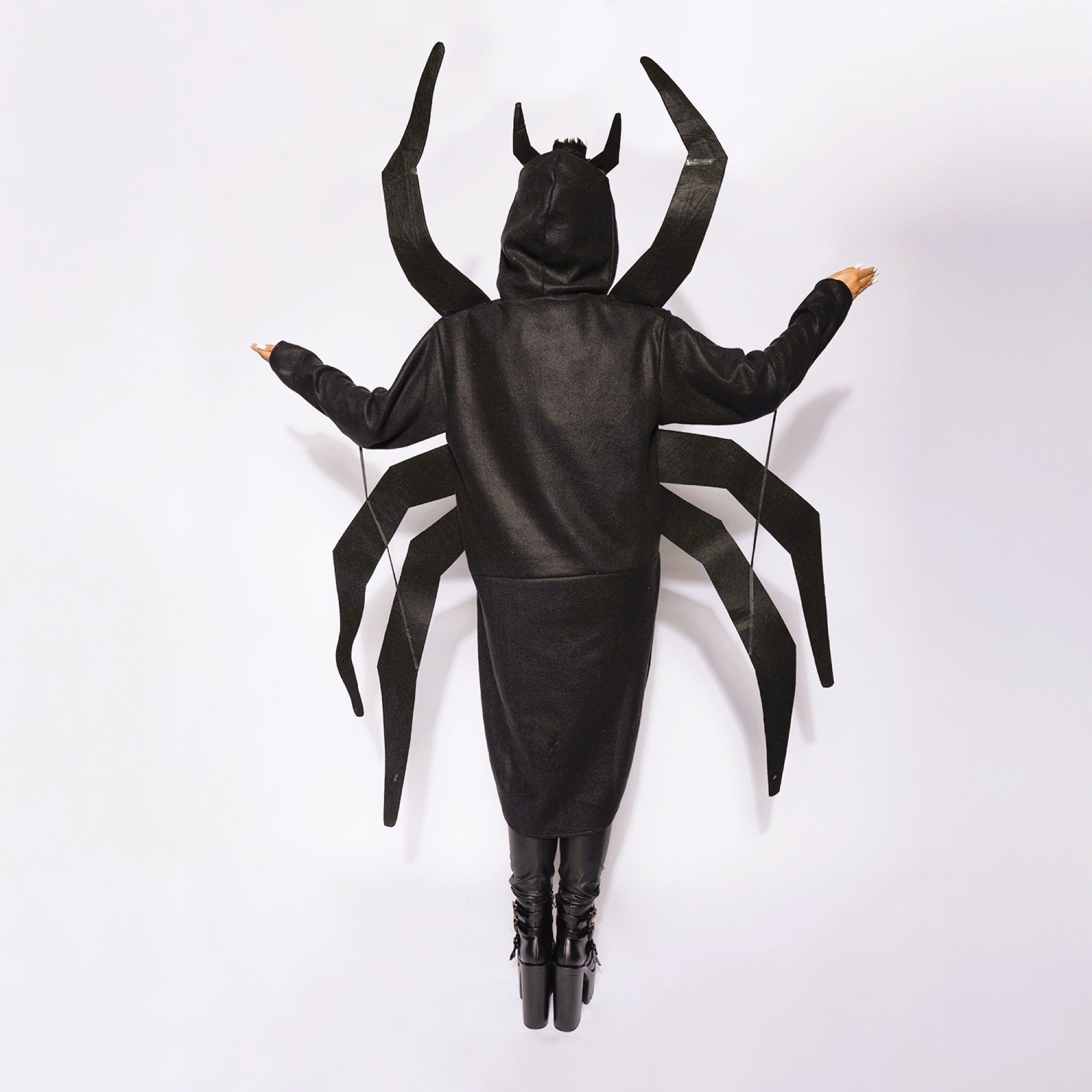 Spider