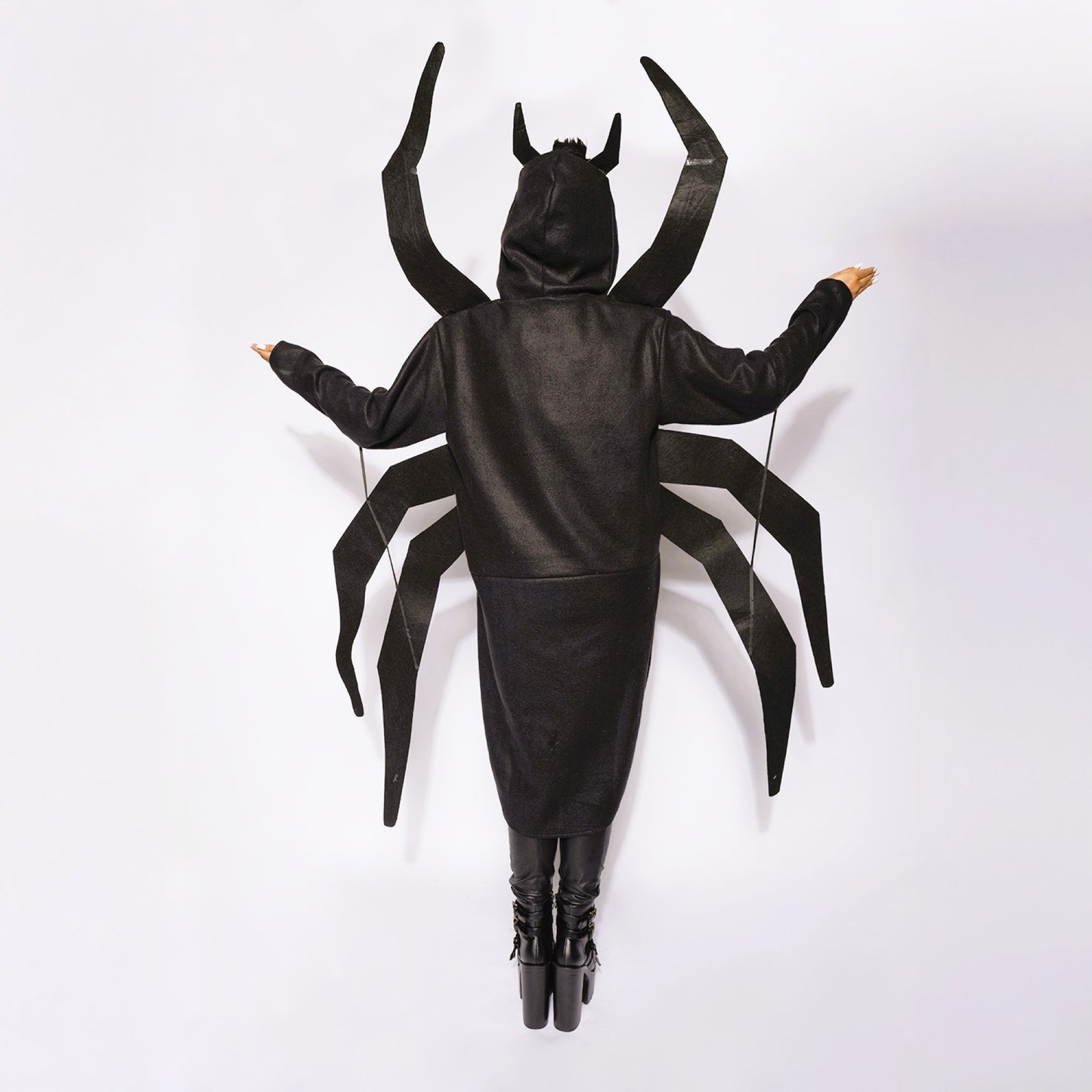 Spider