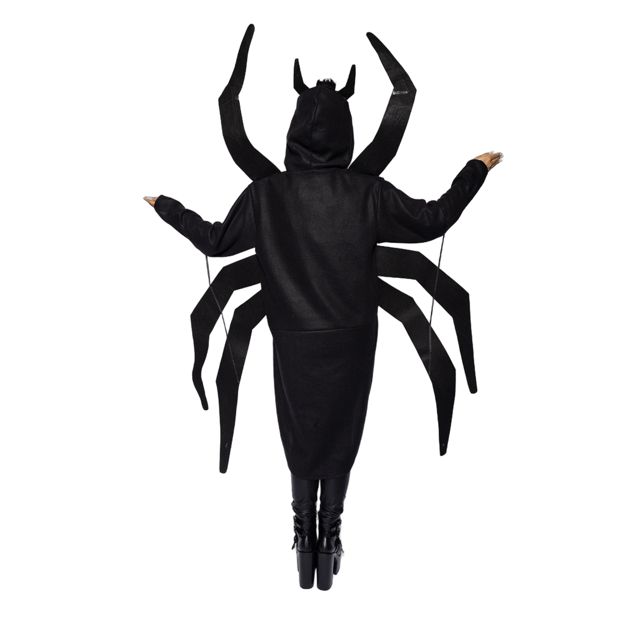 Spider