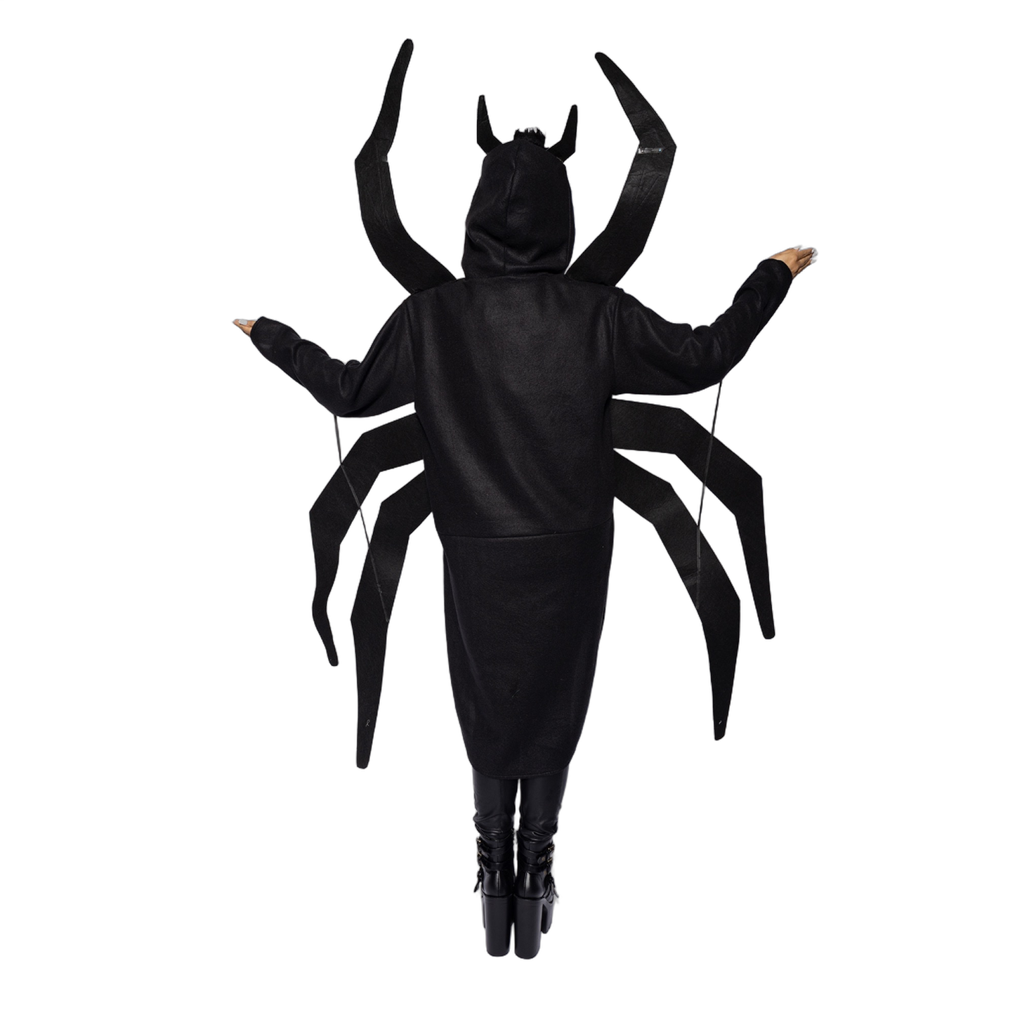 Spider